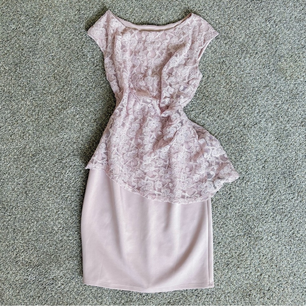Enfocus Studio Pink Lace Peplum Sheath Dress Size 6